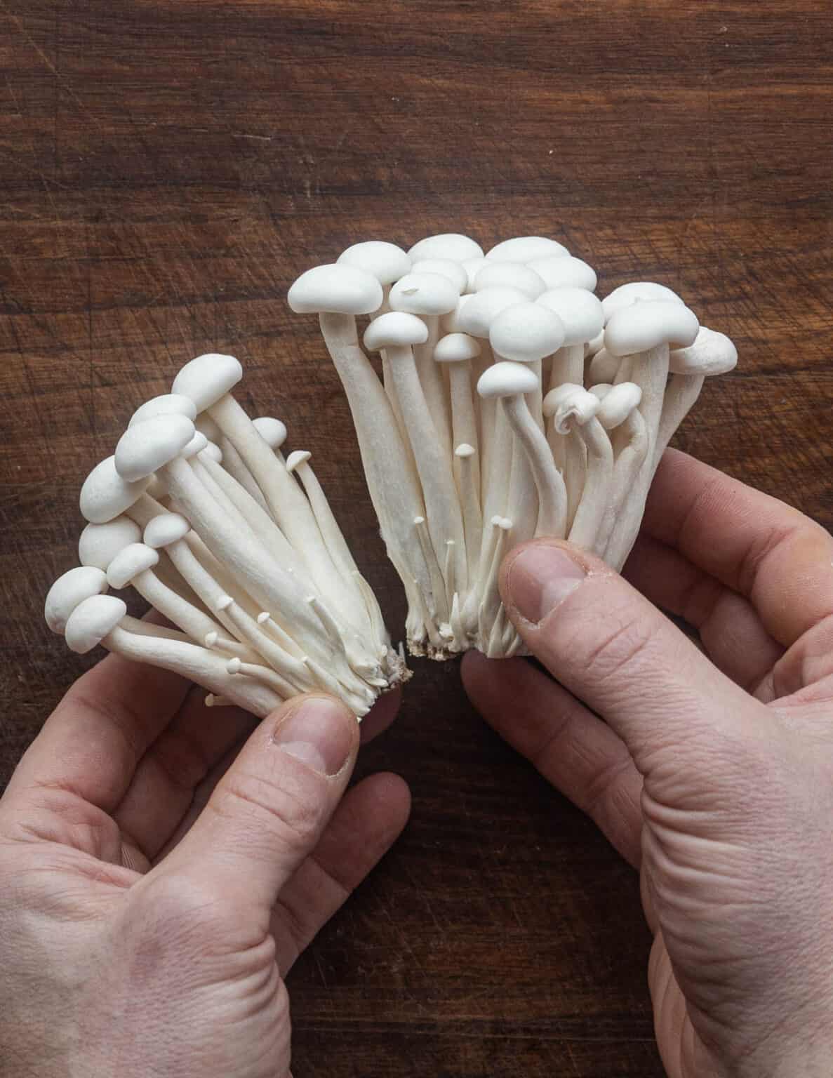 Beech Mushrooms - Forager | Chef