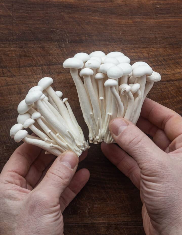 Beech Mushrooms - Forager | Chef