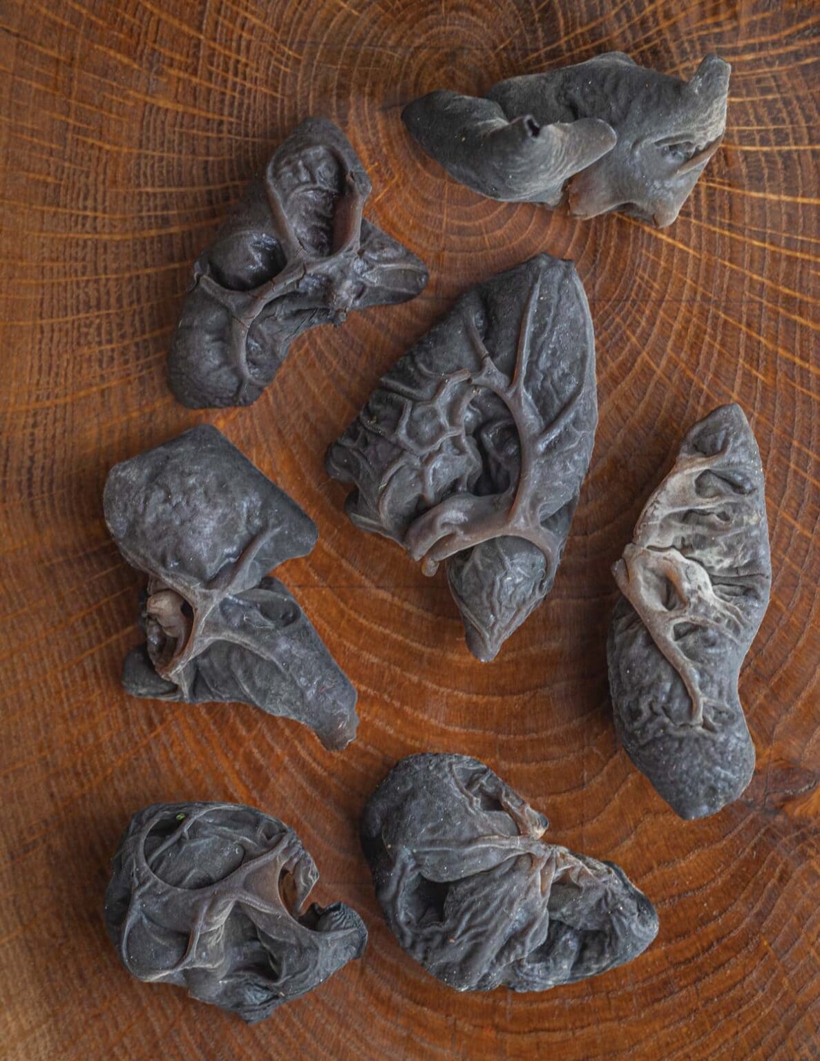 kikurage-wood-ear-mushroom