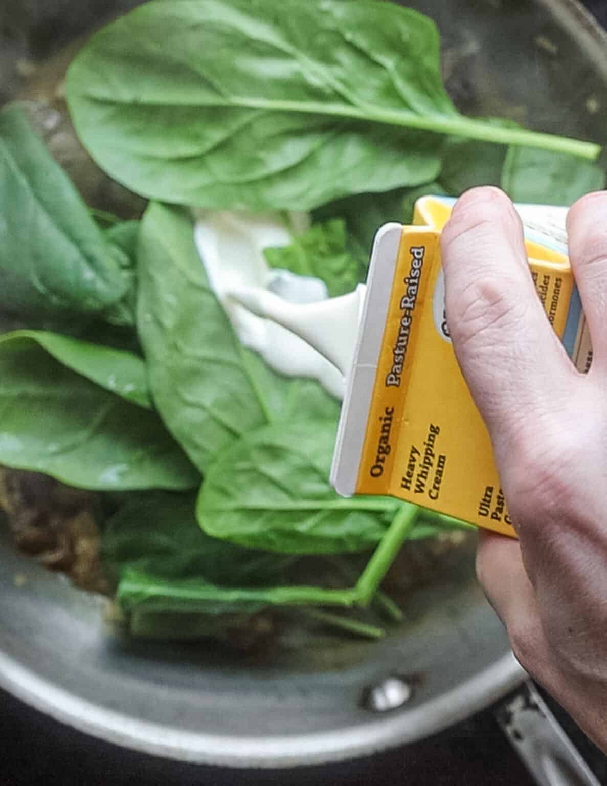 Dried Porcini Pasta Forager Chef