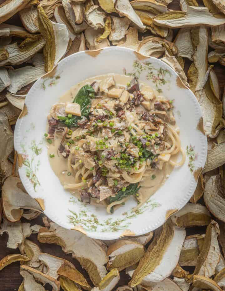 Dried Porcini Pasta Forager Chef