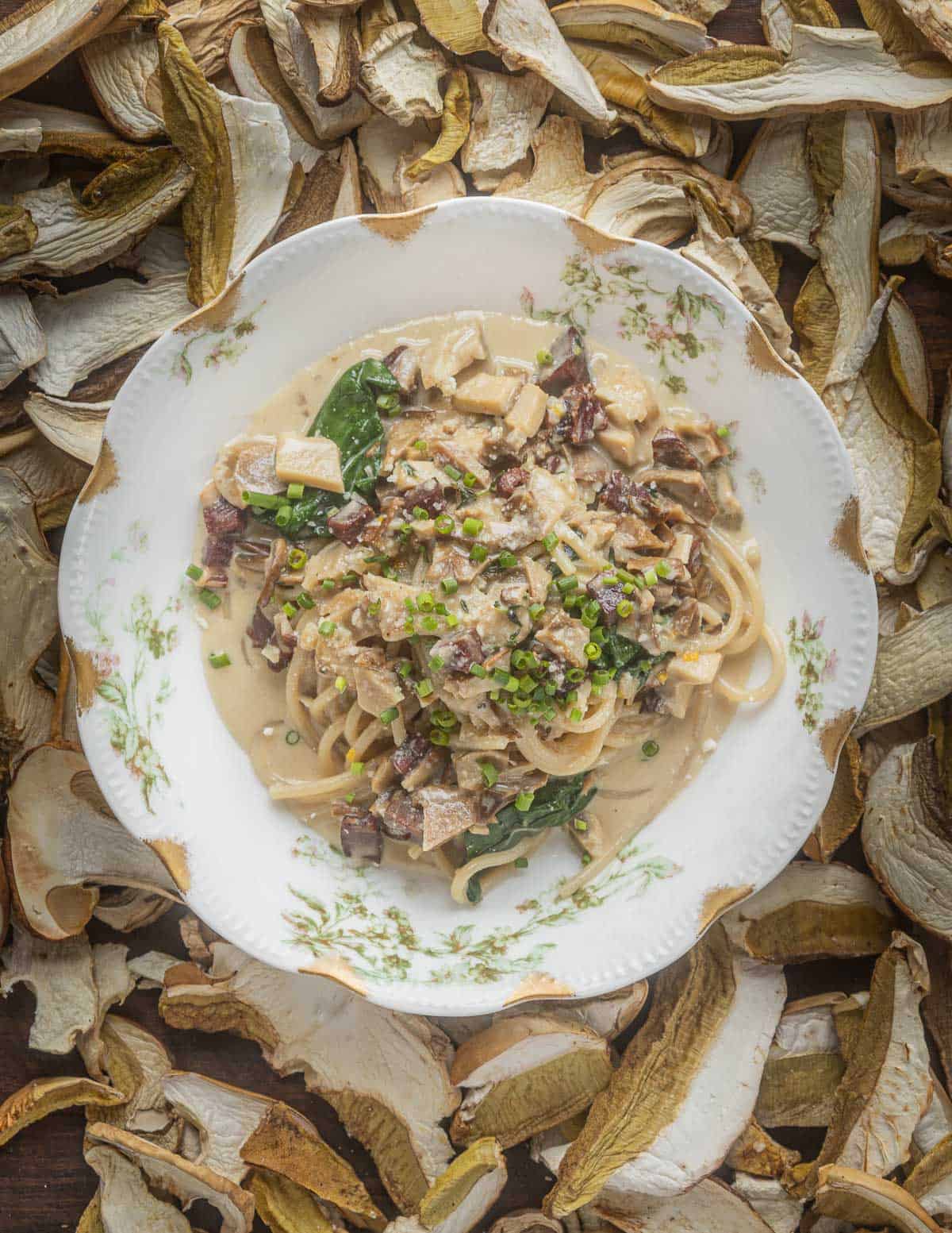 A bowl of creamy dried porcini mushroom pasta on a china plate surrounded by dried porcini. 