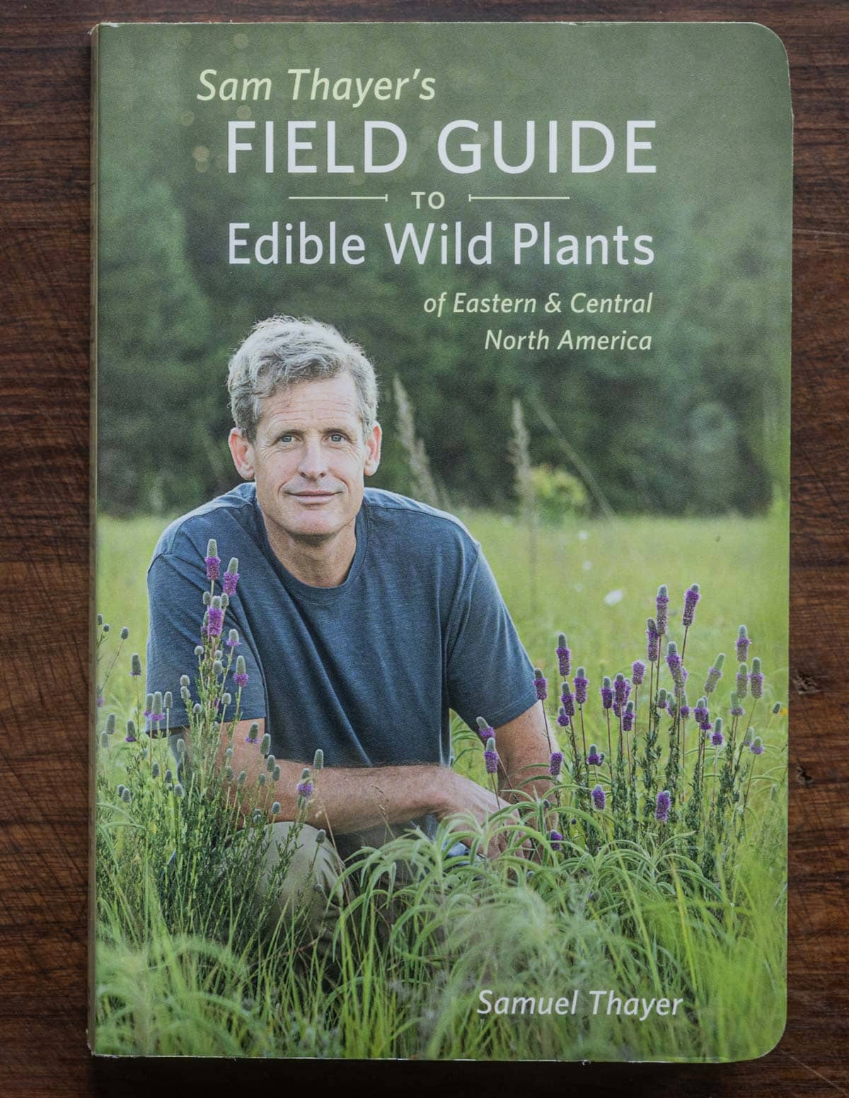 A picture of Sam Thayers field guide to wild edible plants.
