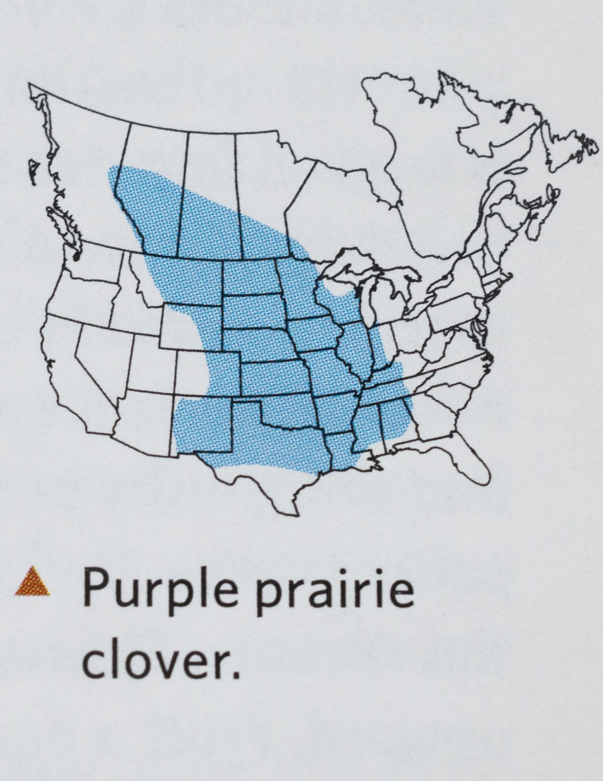 A map from Sam Thayers field guide showing the native range of Purple Prairie Clover. 