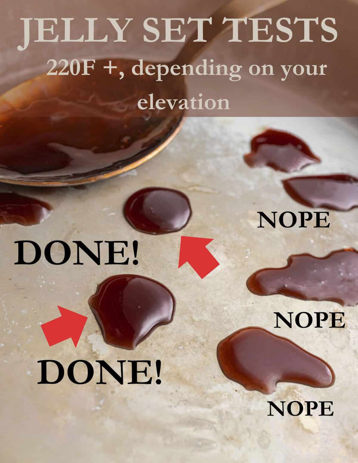 An infographic showing the set tests of wild grape jelly to ensure it sets. 