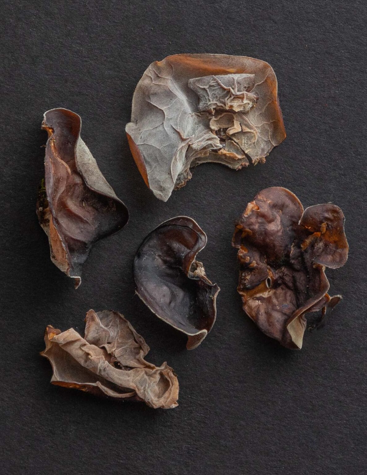 Kikurage / Wood Ear Mushroom