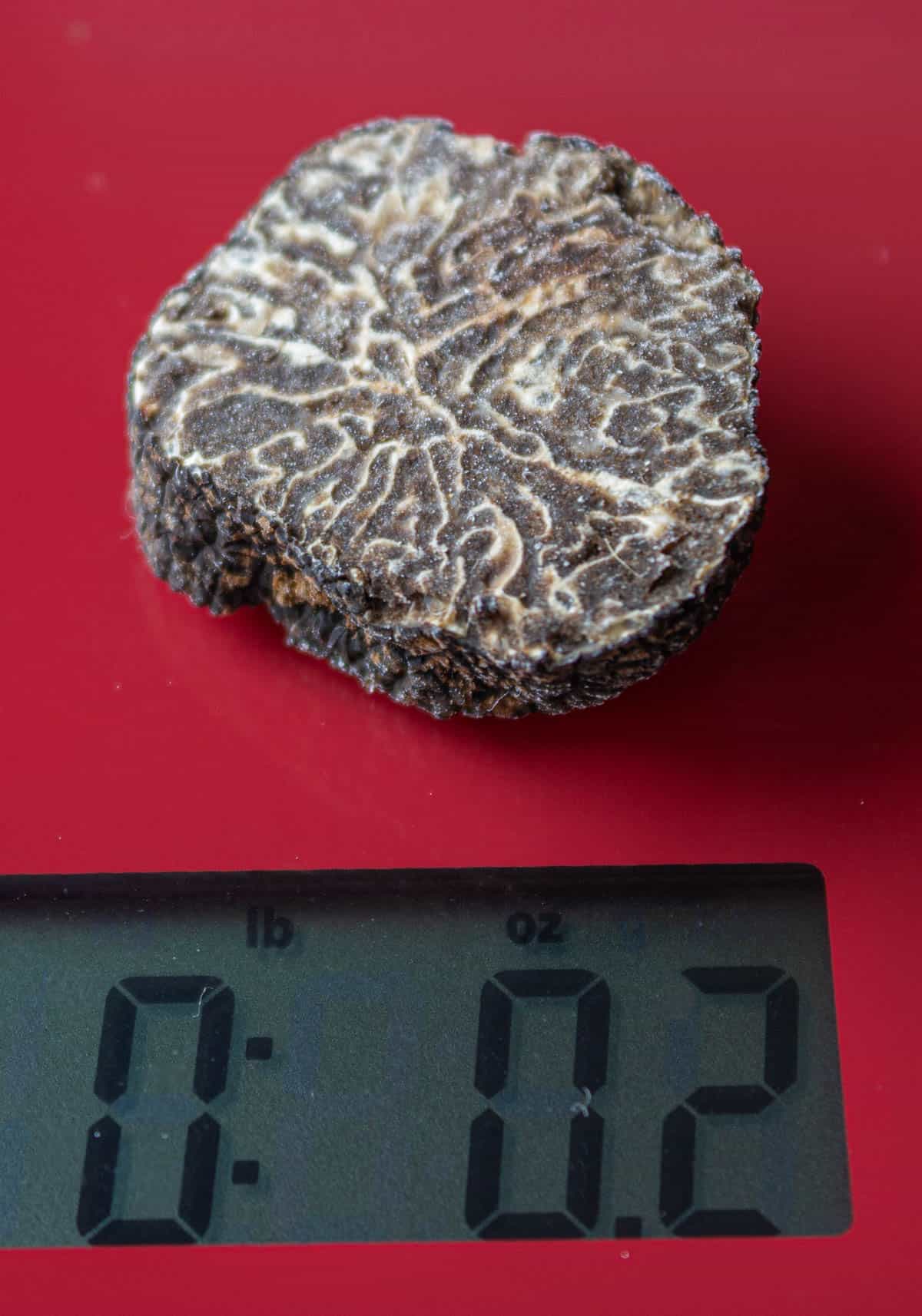 A sliced black truffle on a scale showing how much truffle you need for each person to make risotto. 