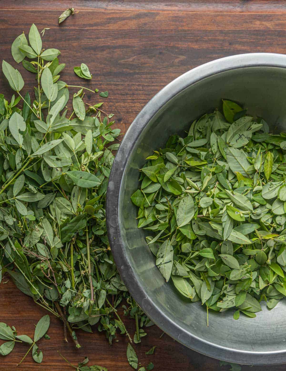 Removing the leaves from the chipilin plant in a bowl. 