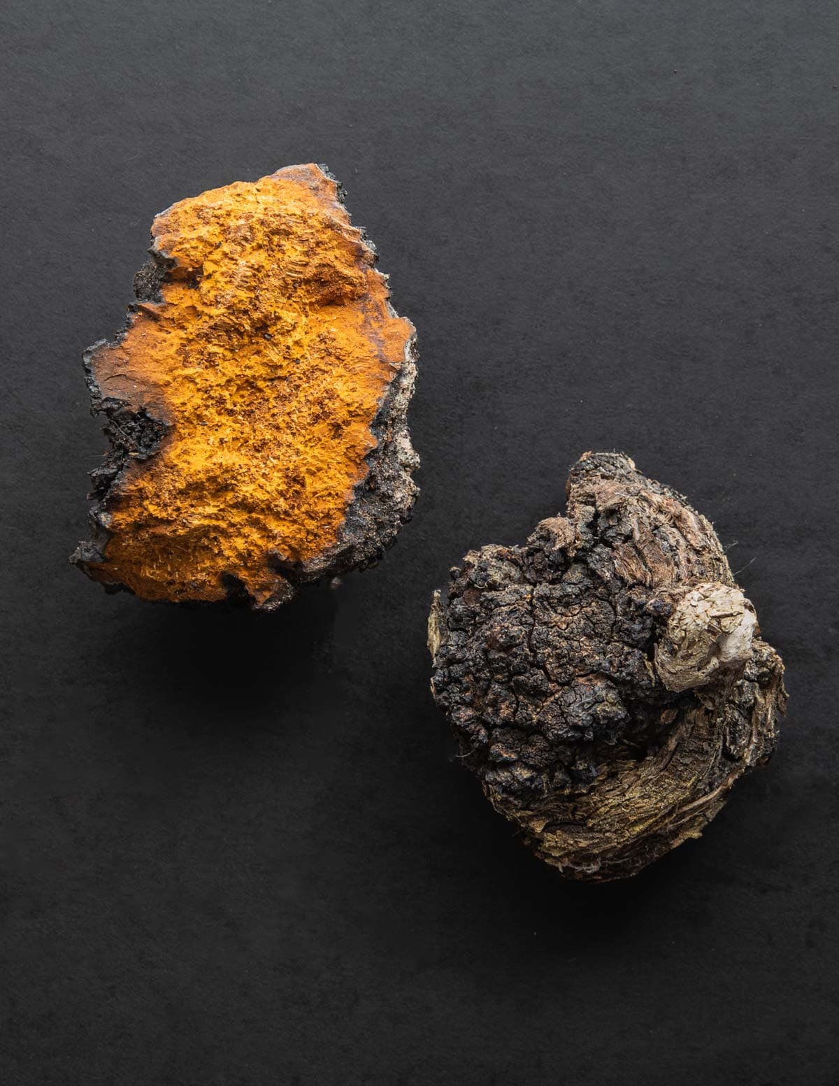 two pieces of fresh chaga mushroom on a black background showing different characteristics. 