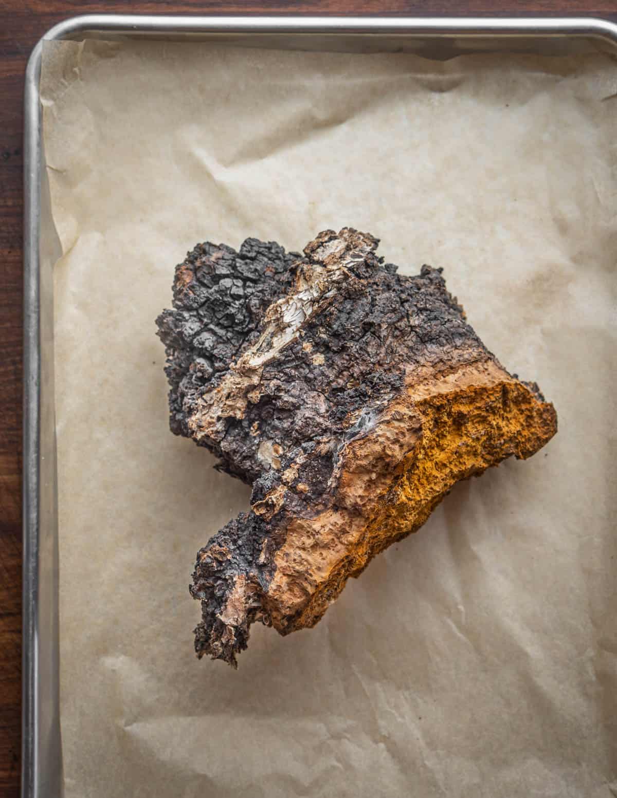 A whole fresh chaga mushroom laying on a baking sheet on a piece of parchment. 