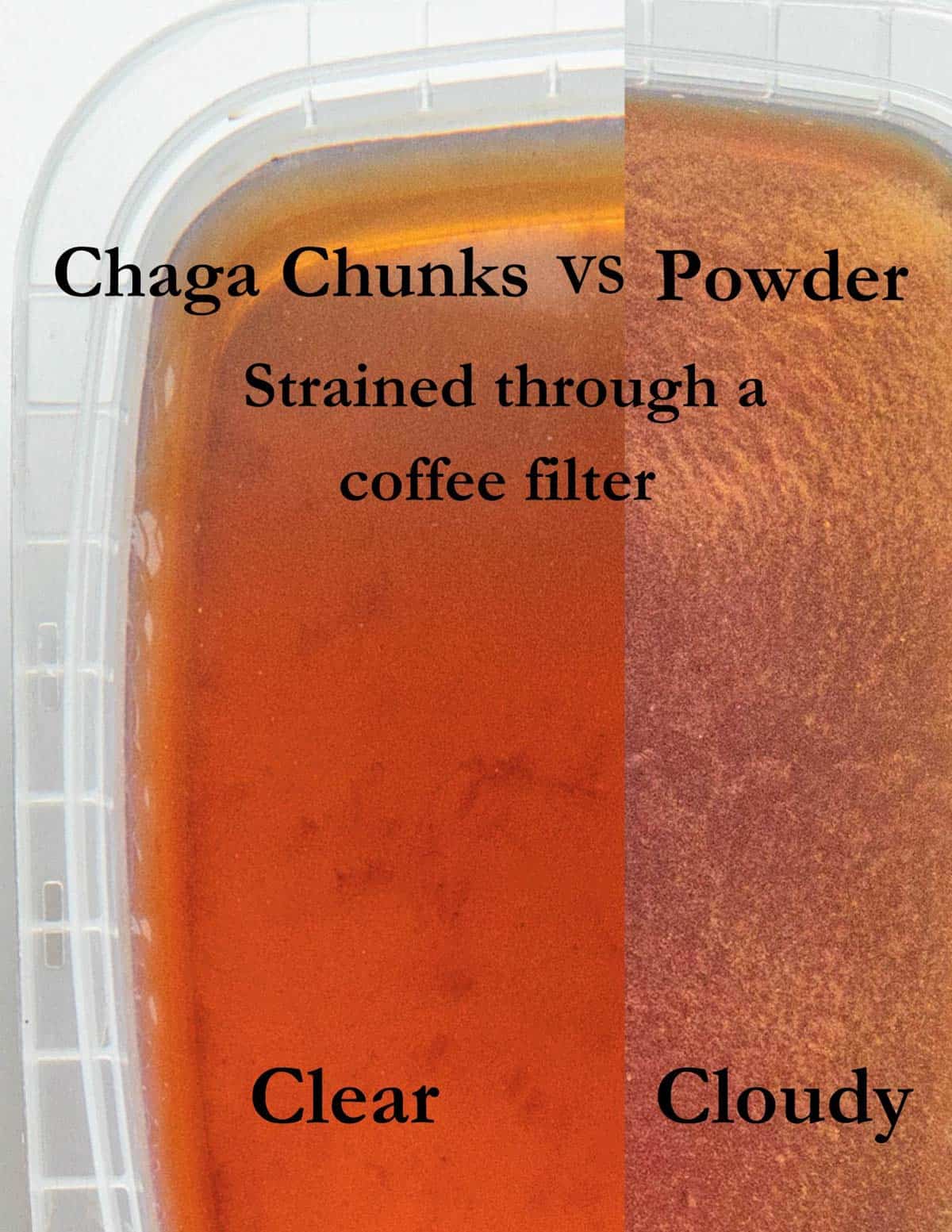 An infographic showing two types of chaga tea side by side. One made with powder that looks cloudy, the other made by brewing chunks, which is clear.