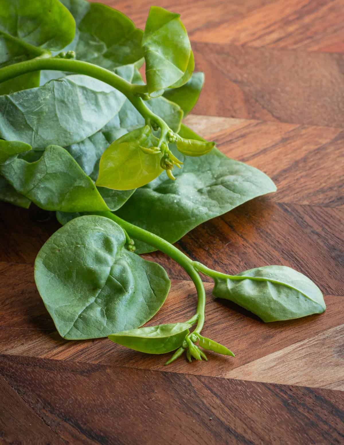 Young malabar spinach leaves on a cutting board. 
