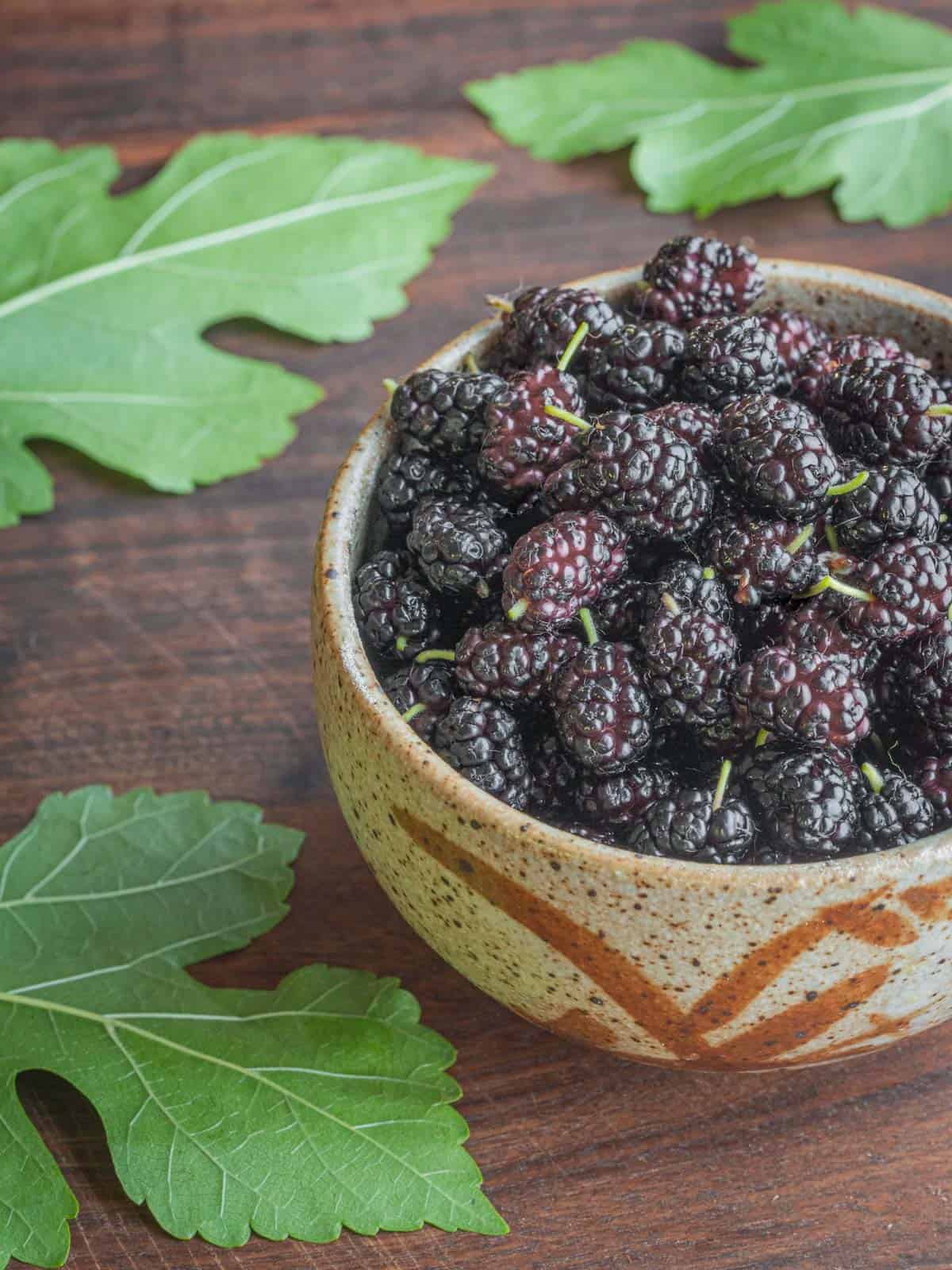A bowl of fresh black mulberries.