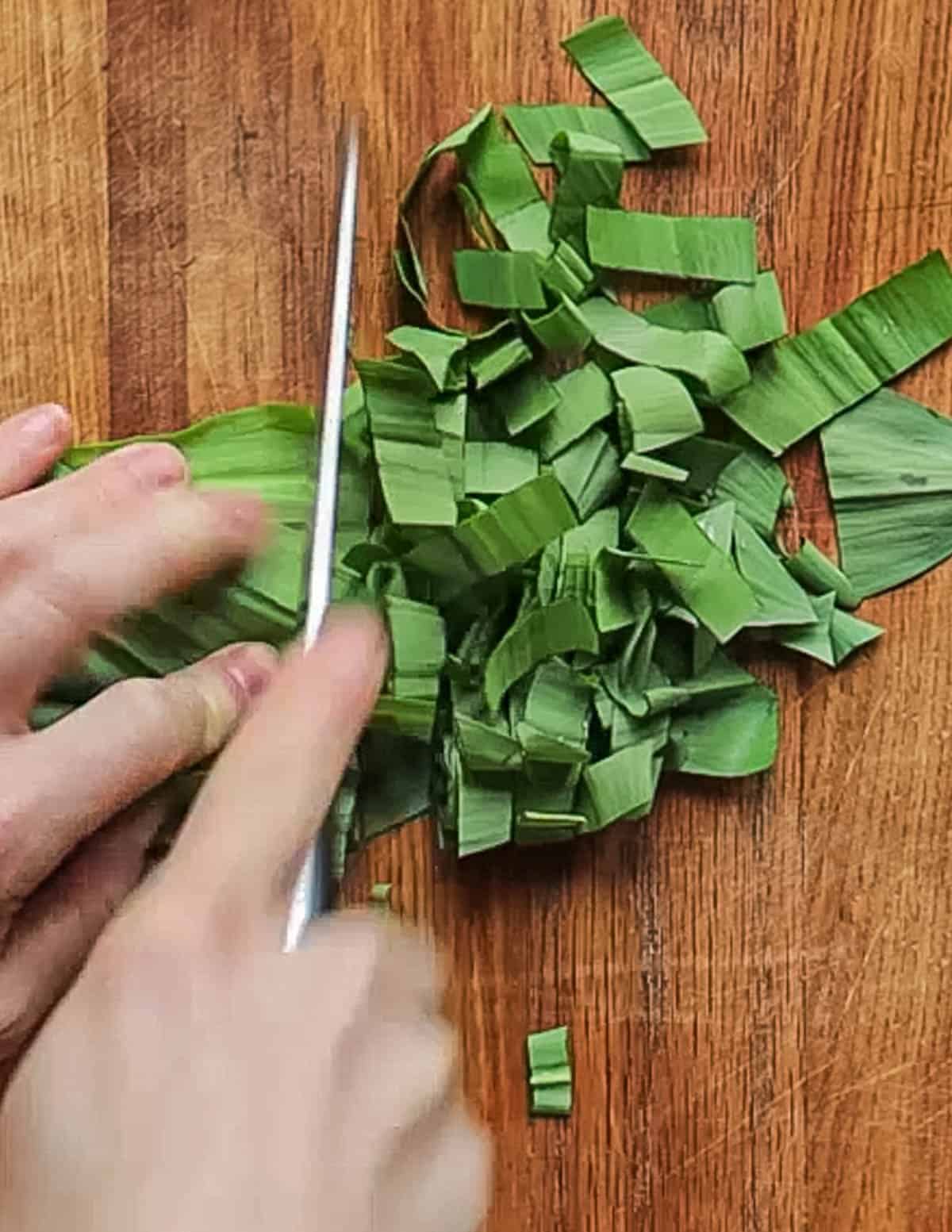 Slicing fresh ramp leaves with a knife. 