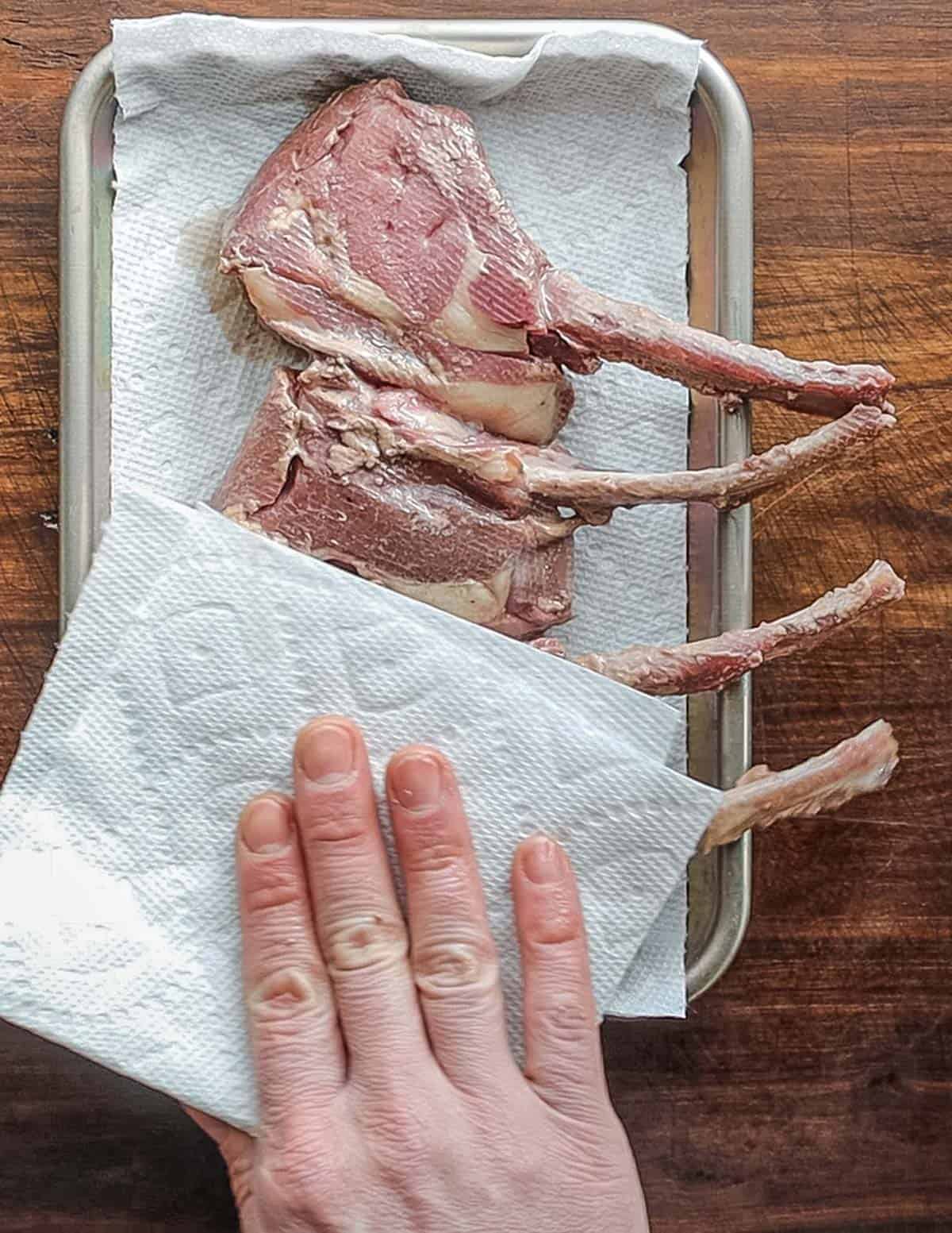 Patting lamb chops dry with a paper towel after cooking in the sous vide water bath. 