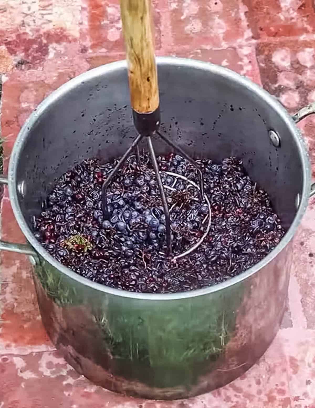 A pot of mashed wild grapes. 