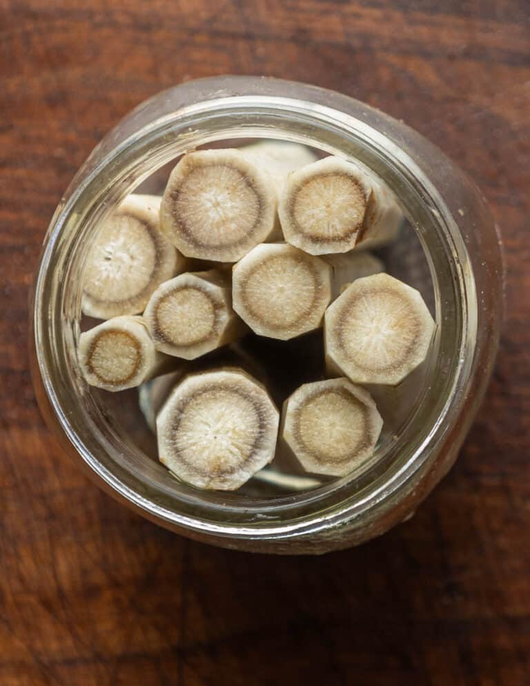 Yamagobo or Pickled Burdock Root (Recipe) Forager Chef