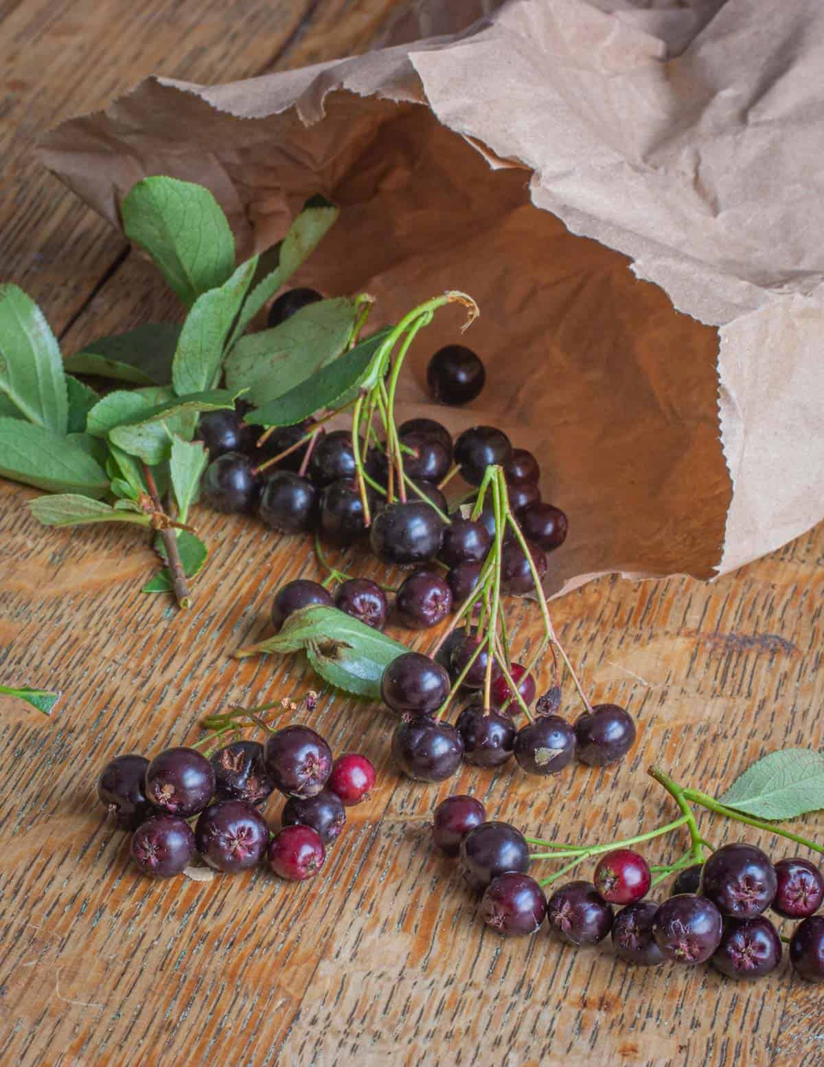 Aronia berries spilling from a brown paper bag on a table. 