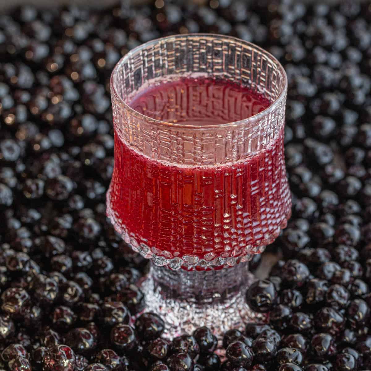 Homemade Aronia Berry Juice-image