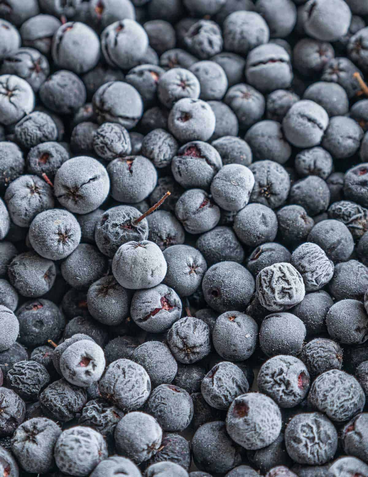 Frozen aronia berries or black chokeberries on a baking tray. 