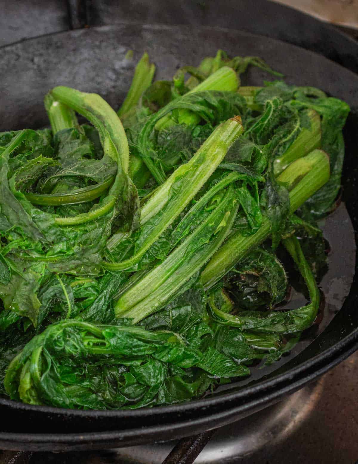 Draining boiled wild lettuce plants in a pan.