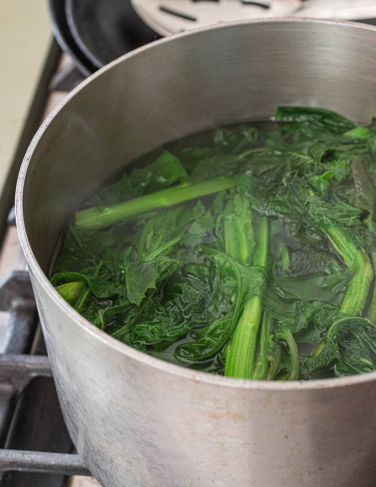 Boiling wild lettuce plants in a pot of salted water.