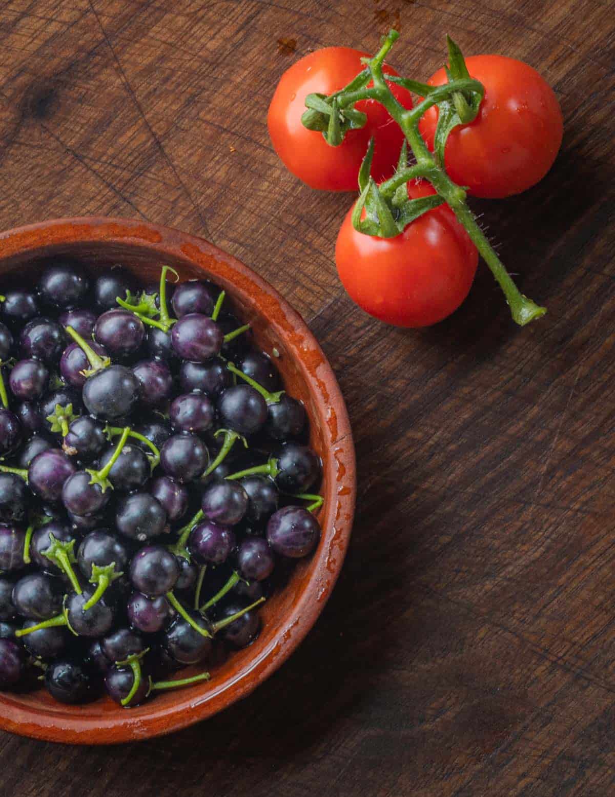 Close up image of edible black nightshade berries in a wooden bowl next to garden cherry tomatoes for size.