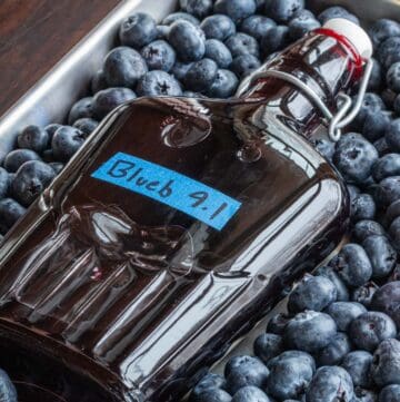 A finished jar of blueberry liqueur on a baking sheet surrounded by fresh blueberries.