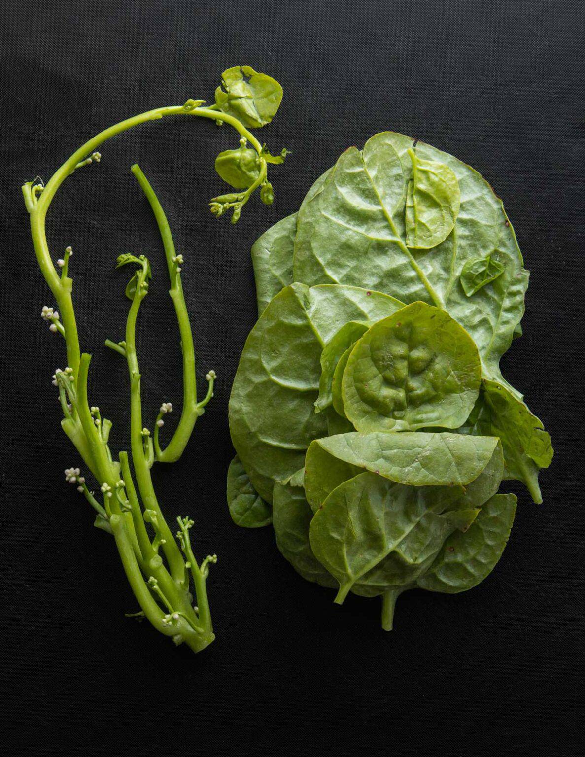 Mong Toi Stir Fry with Mushrooms (Malabar Spinach Recipe)