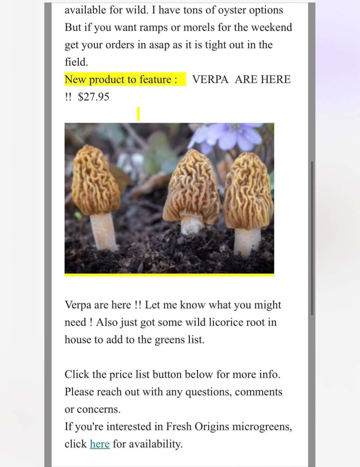 An image of Verpa bohemica mushrooms for sale at 27 dollar per pound. 