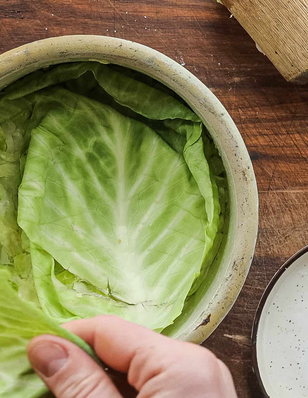 Putting cabbage leaves on top of a crock of sauerkraut to protect it from bacteria. 