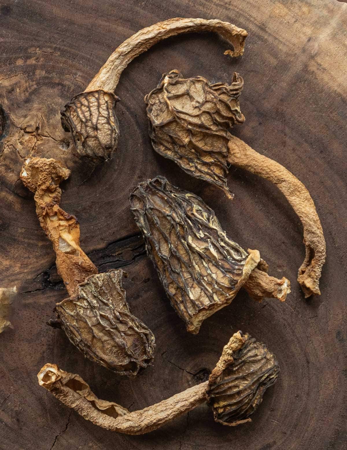 Dried Verpa bohemica mushrooms. 