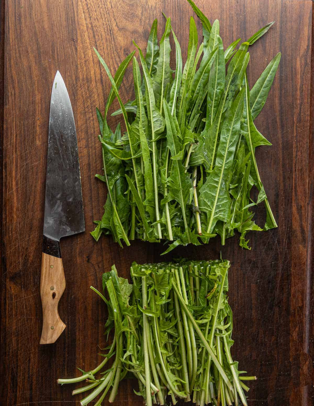 Cutting the lower portion of dandelion greens before making salad.