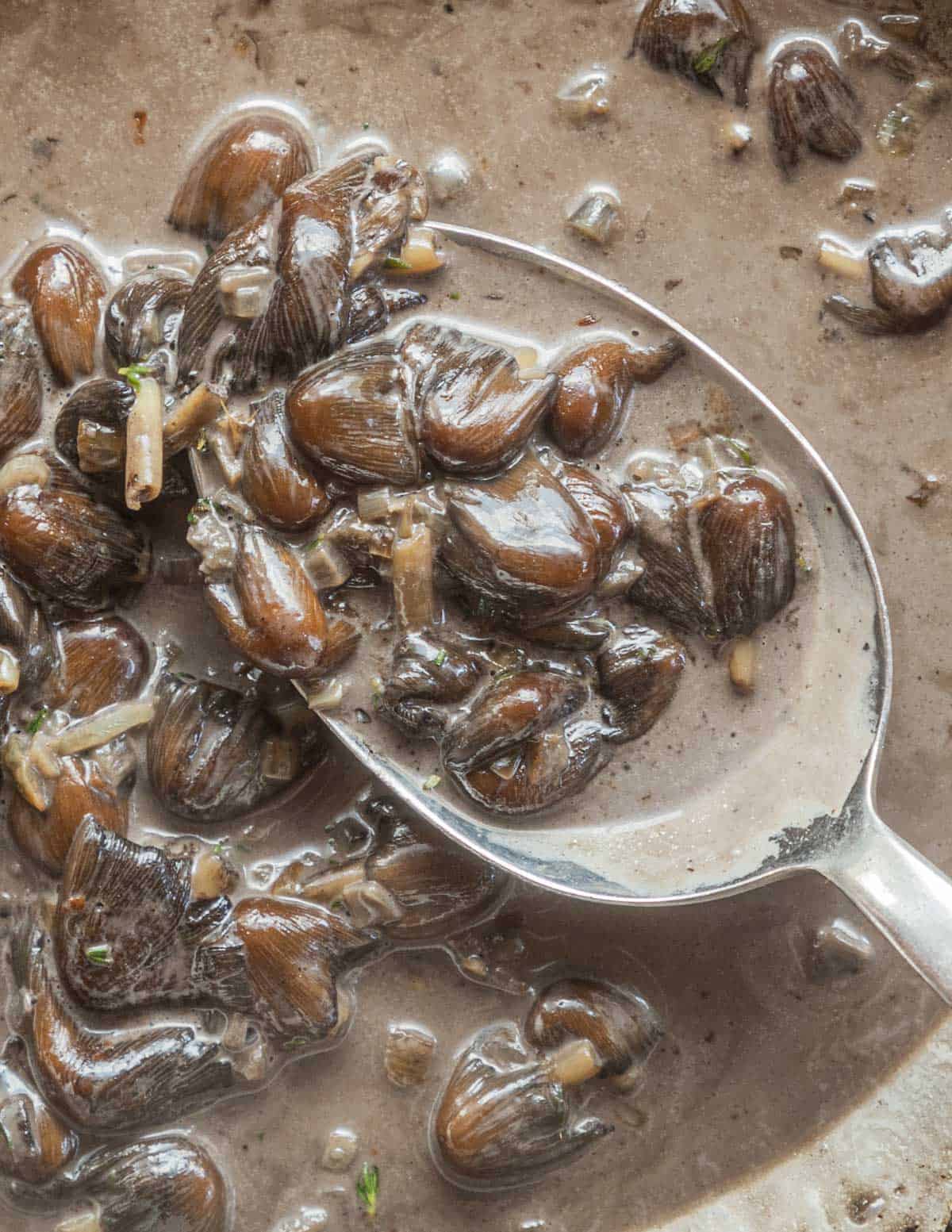 A spoon in a pan of rich creamy mica cap mushroom sauce.