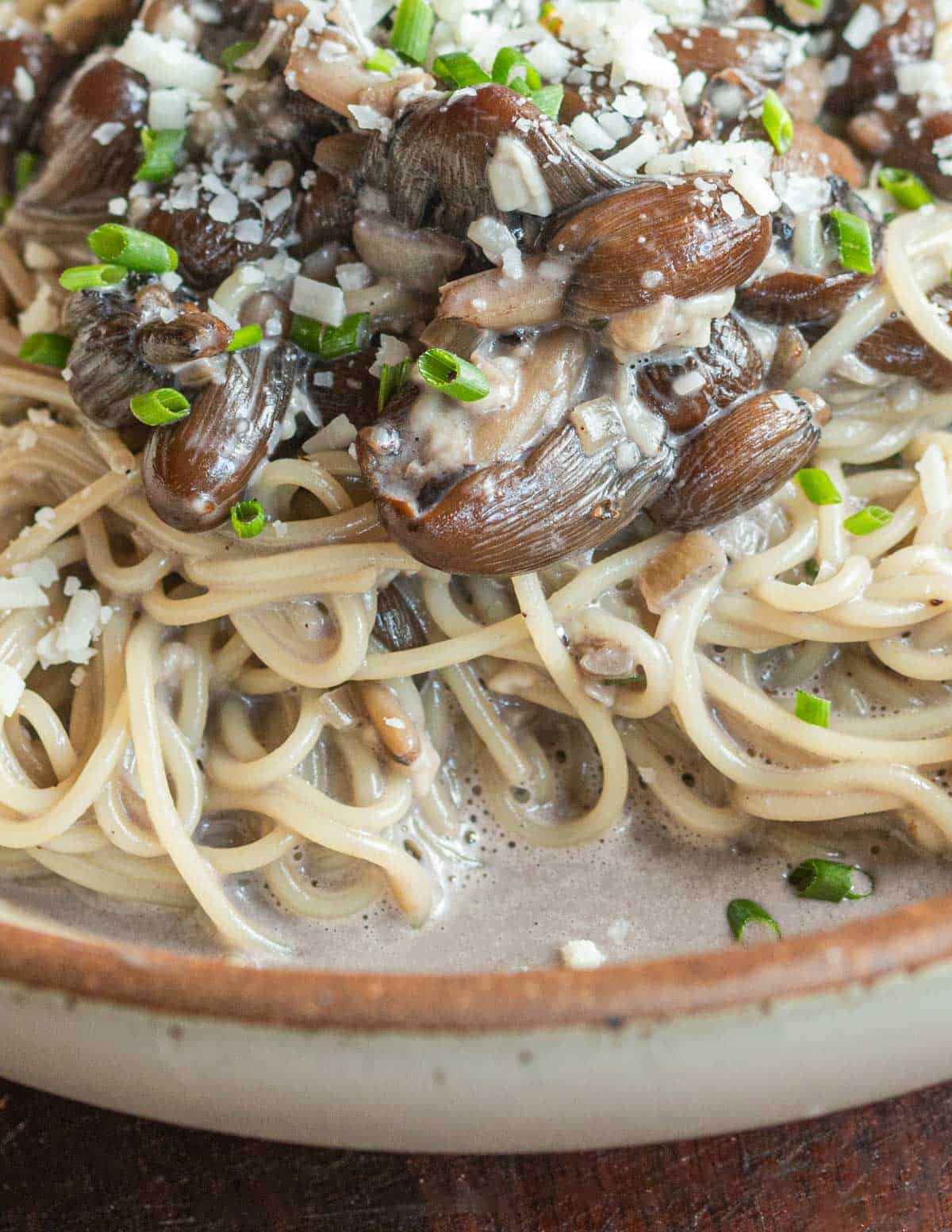 A bowl of capellini pasta with mica cap mushroom sauce. 
