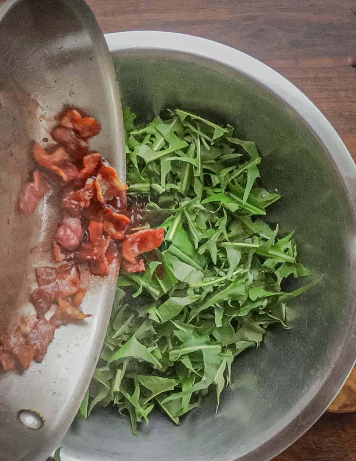 Tossing dandelion greens with hot bacon dressing. 