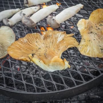 Grilling fall oyster mushrooms and king oyster mushrooms on a grill.