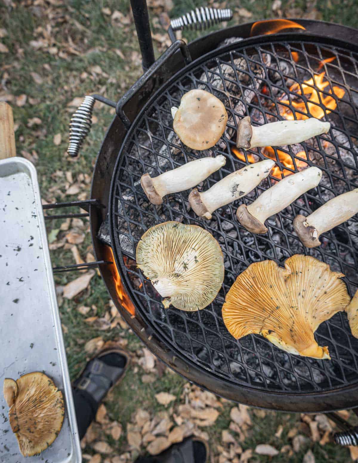 Grilled king oyster, grilled blue oyster, and fall oyster mushrooms cooking on a grill. 