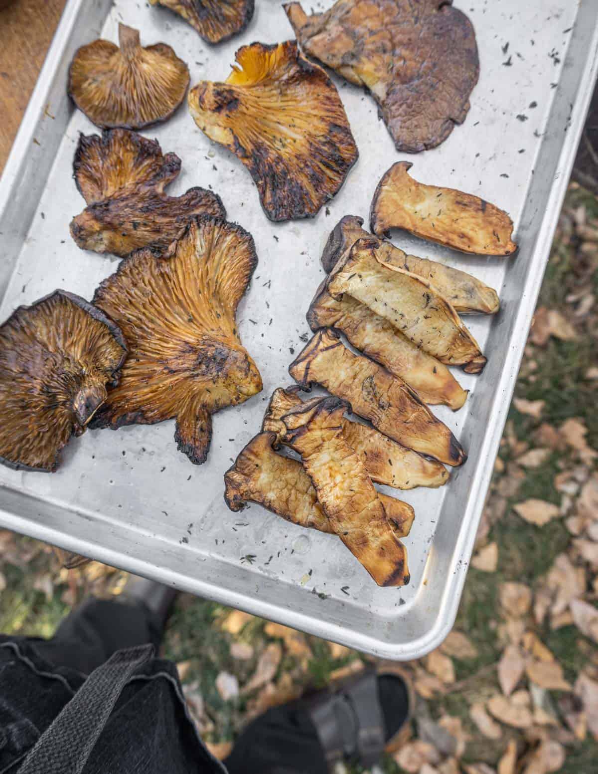 Grilled king oyster mushrooms, fall oysters, and blue oyster mushrooms. 