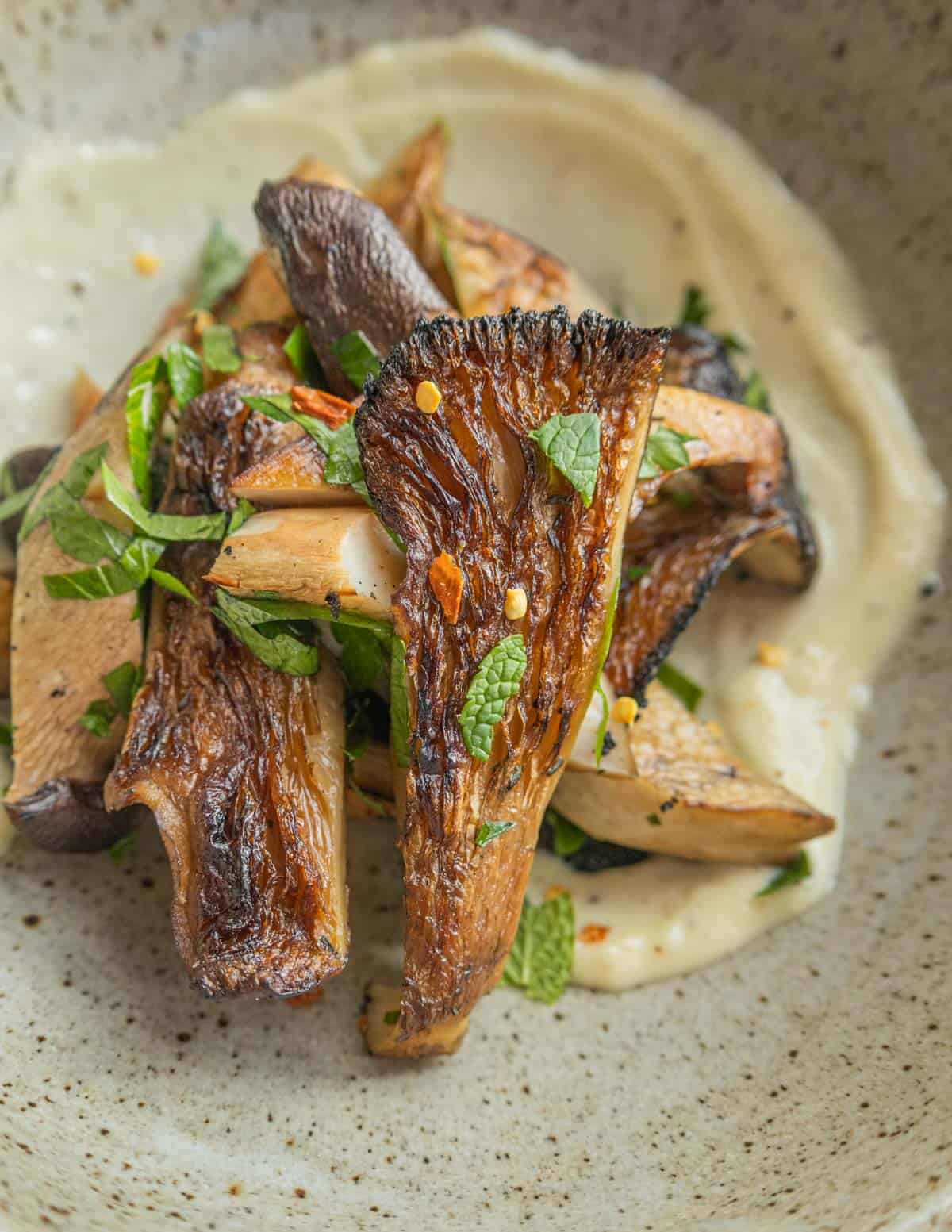 Grilled fall oyster mushrooms with black truffle aioli. 