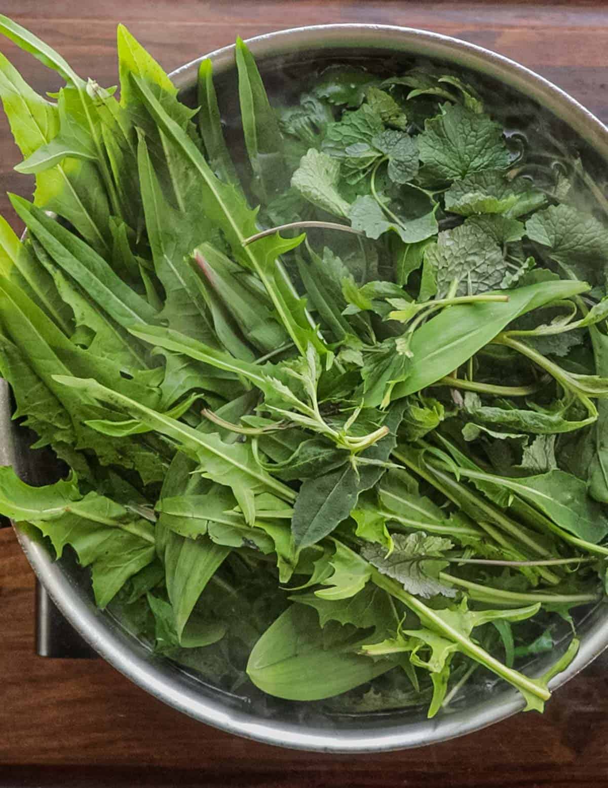 Adding dandelions and horta plants to a pot of boiling water. 