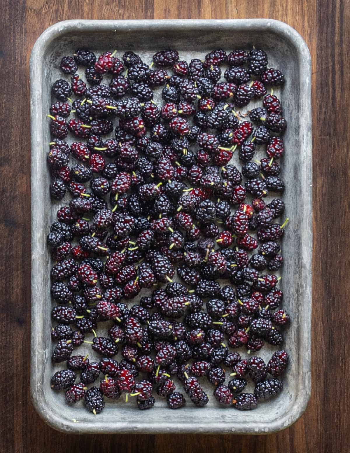 A tray of ripe, edible black mulberry fruit. 