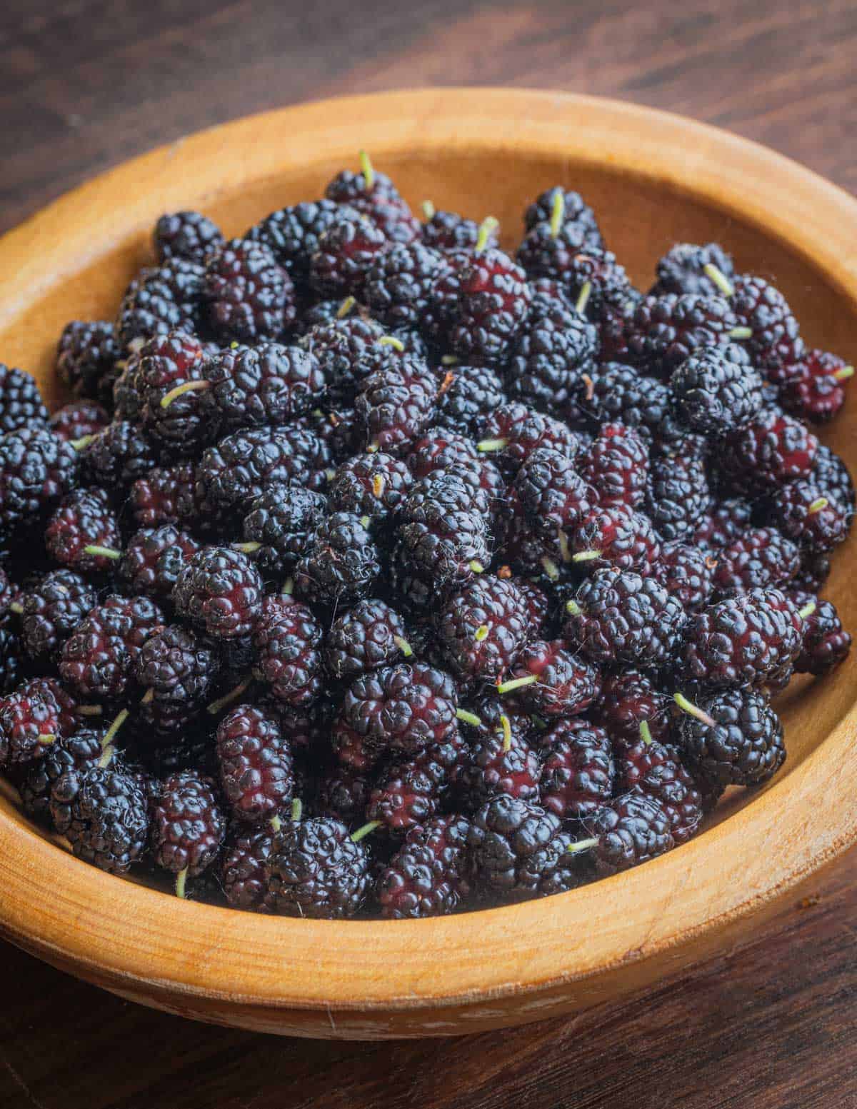A bowl of fresh ripe mulberries (Morus alba). 