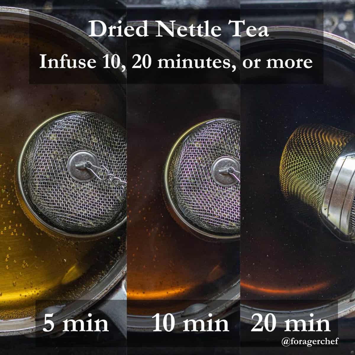 An infographic of three images of dried nettle tea cooking showing the color change at 5, 10, and 20 minutes of infusing time. 