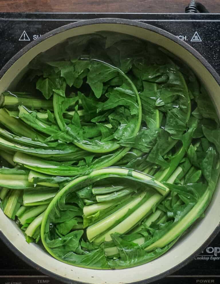 Fermented Dandelion or Wild Lettuce Kimchi Forager Chef