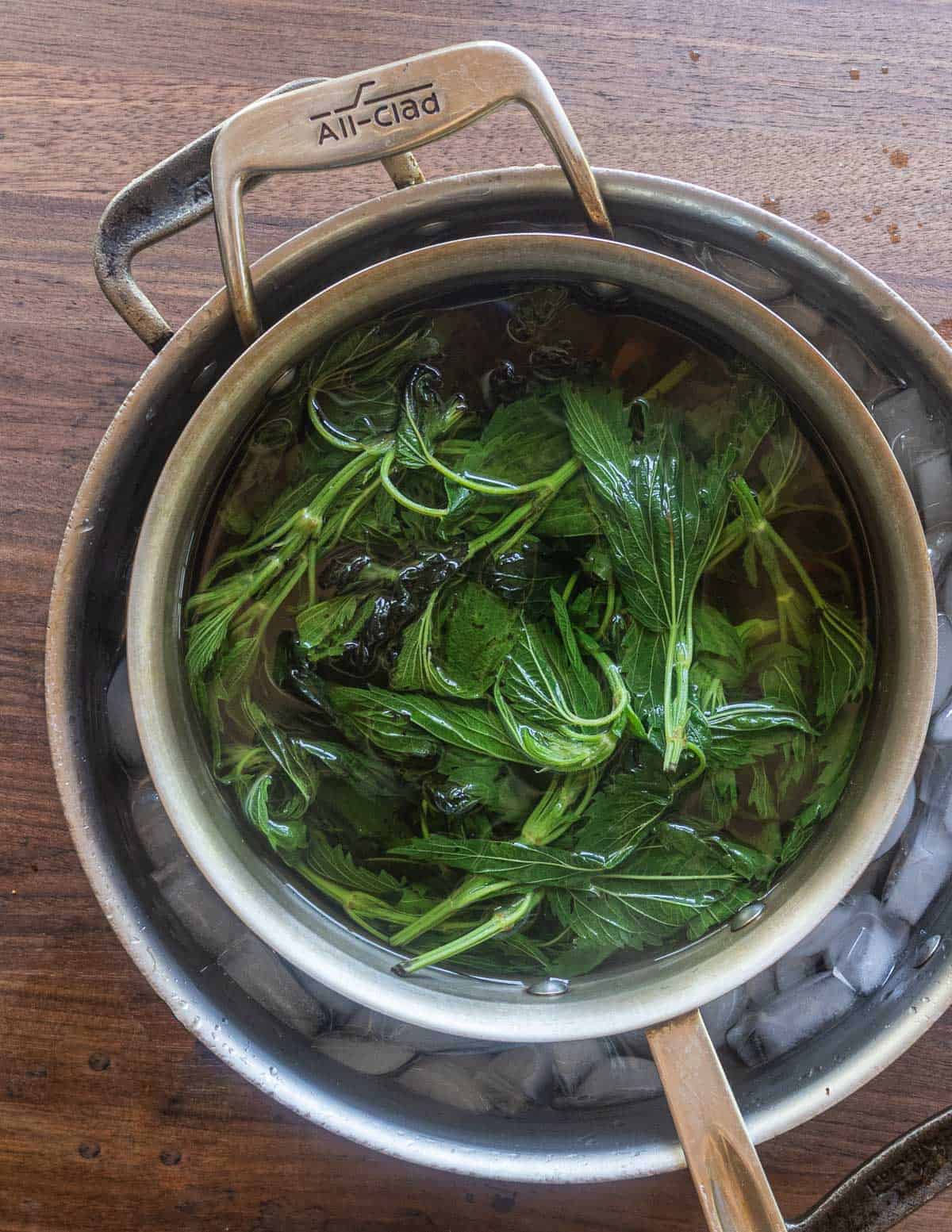 Chilling a pot of nettle tea in a bowl of ice water. 