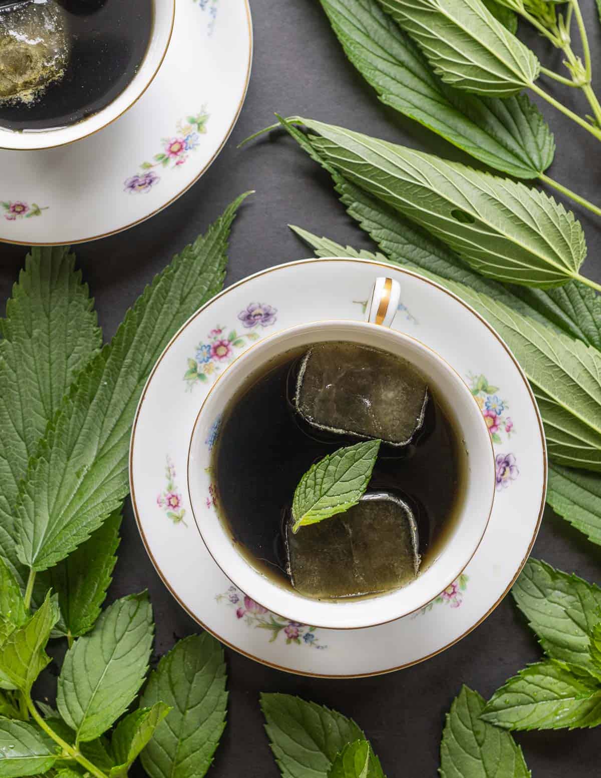 A cup of stinging nettle leaf tea with fresh mint surrounded by fresh nettle leaves. 