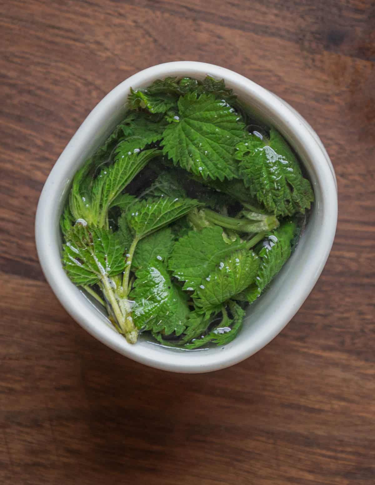 A cup of very young nettles used to make tea. 