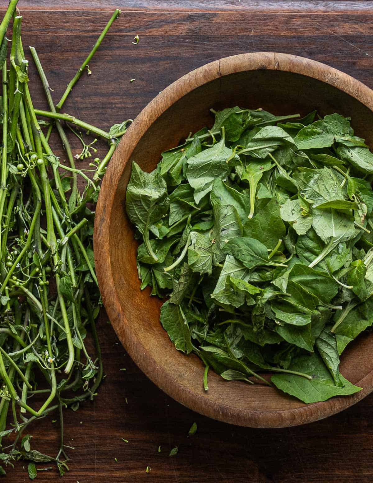 Removing nightshade greens from the stems and putting them in a bowl. 