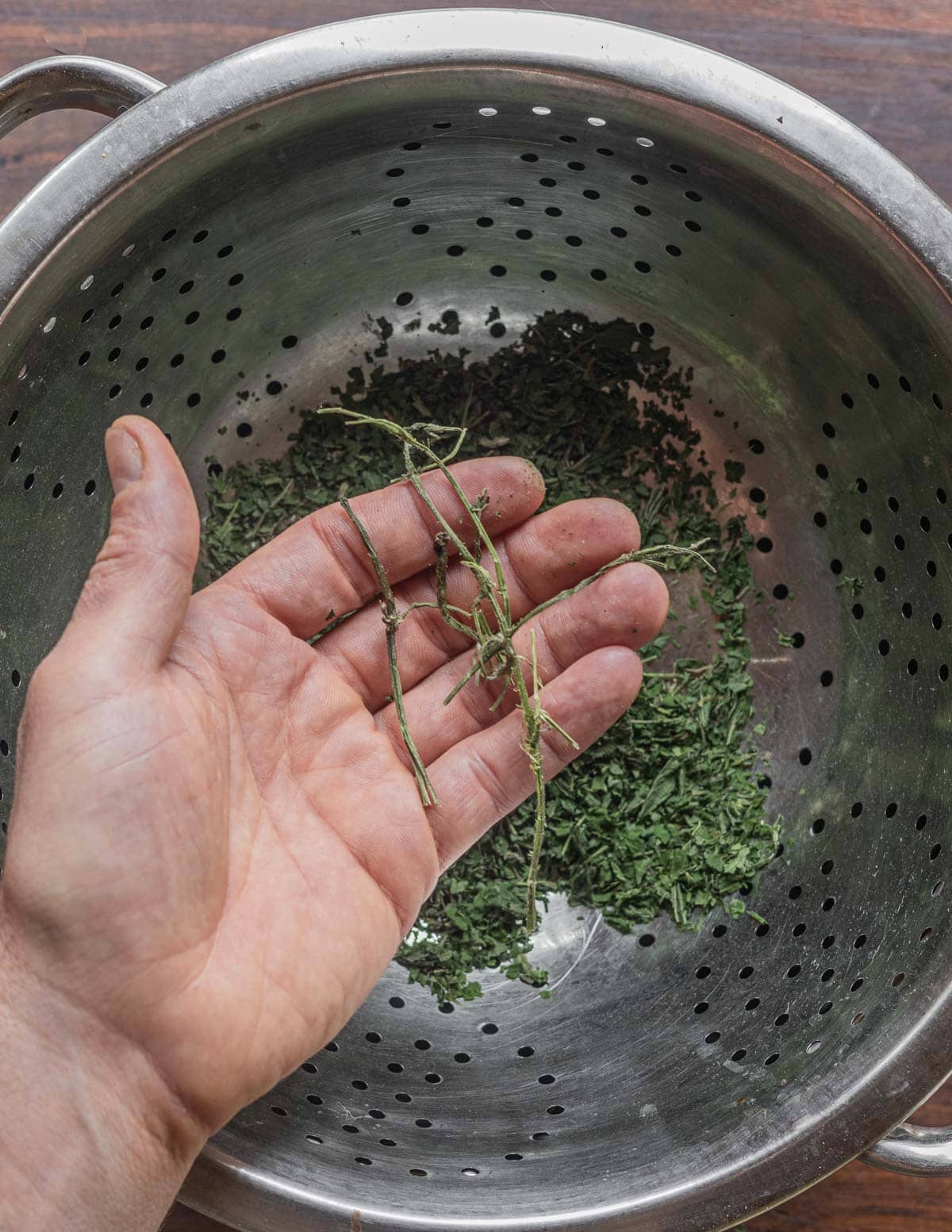 Sifting dried nettle leaves through a colander to remove long stems. 